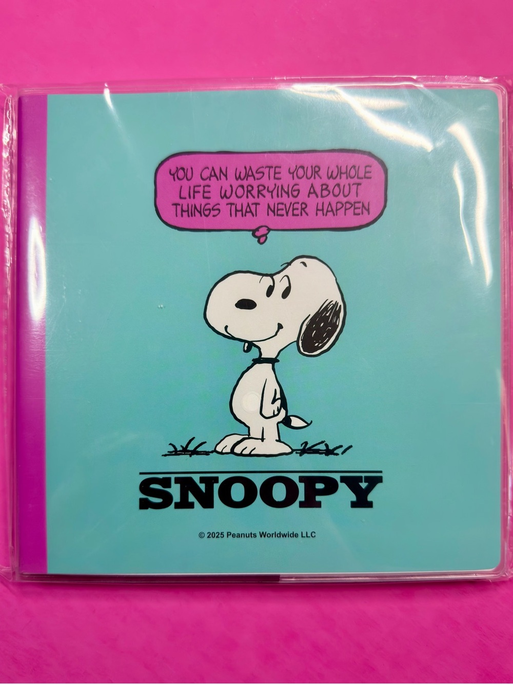 Snoopy Peanuts Teal Cover with Hot Pink Trim Journal